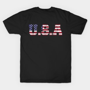 USA flag letters T-Shirt